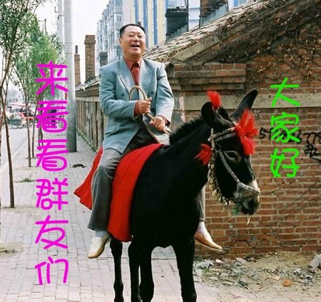 大家好，俺骑驴来看你们了