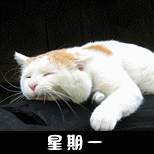 猫猫一周的心情变化