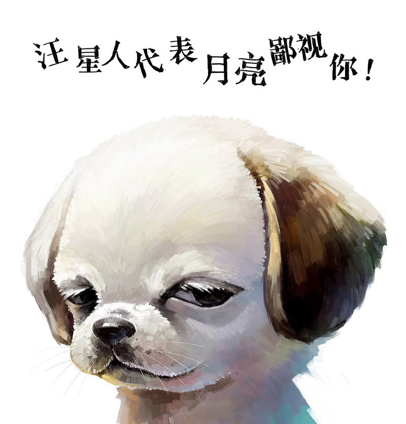 汪星人代表月亮鄙视你