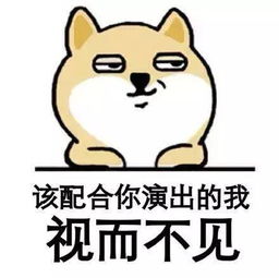 配合你演出的我视而不见
