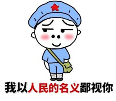 我现在以人民的名义鄙视你