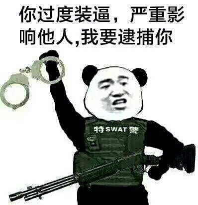 因为你过度装逼影响他人，现在我要逮捕你