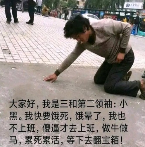 我饿晕了也不上班，傻逼才上班