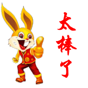 真是太棒了