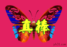 漂亮蝴蝶版真棒