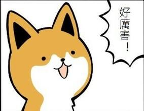 哇，好厉害呀