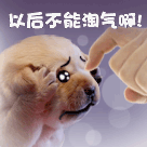 以后不能再淘气了啊