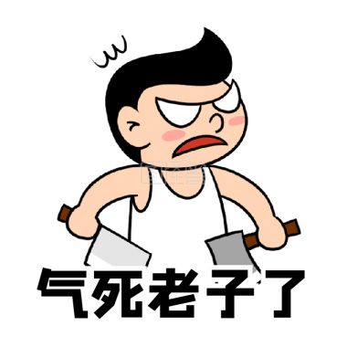 妈的，气死老子了