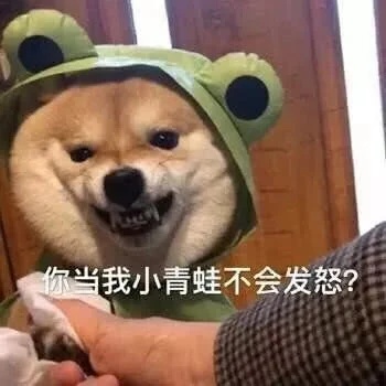 你当我是小青蛙不会发怒的吗