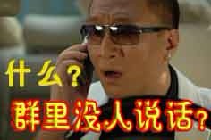 什么？群里没人说话吗
