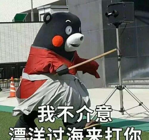 我不介意漂洋过海来打你