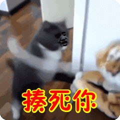 就是今天，我非要揍死你