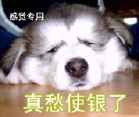 真是愁死银了