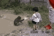 猴子拿东西偷小孩玩