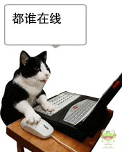 小猫上网，看看有谁在线