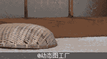 猫咪顶着竹筐悄悄前进