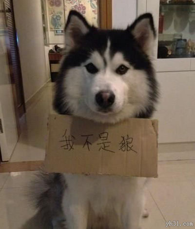胸前挂个牌子，谨防被人误伤