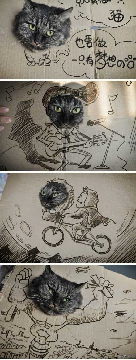 就算做猫，也要做有梦想的猫