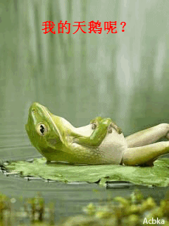 我的天鹅怎么还不来