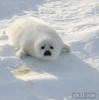 在雪地里向前爬