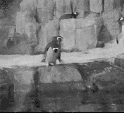 你给我下去