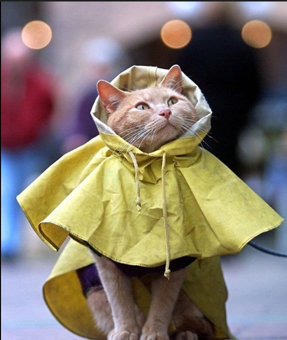 穿上衣服才不怕下雨