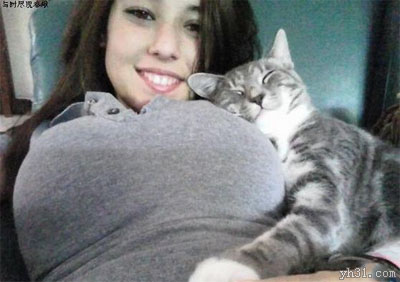 猫咪与大胸美女相伴