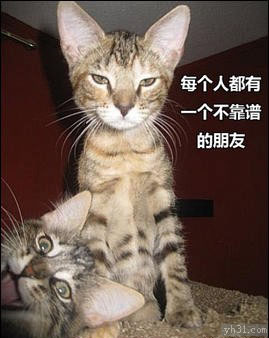 每个人都有一个不靠谱的朋友