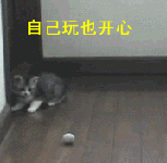自己玩也很开心