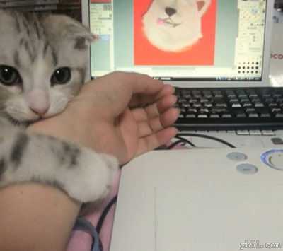 不许玩电脑，主人陪我玩吧