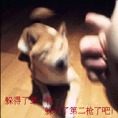 躲得了第一枪，躲不了第二枪吧