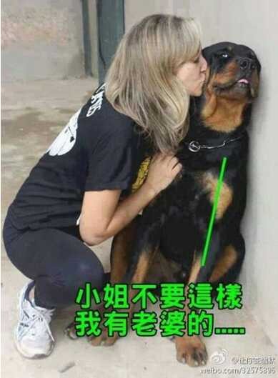 小姐不要这样，你快走开