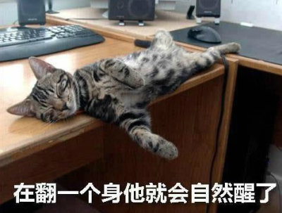 再翻一下身就醒了