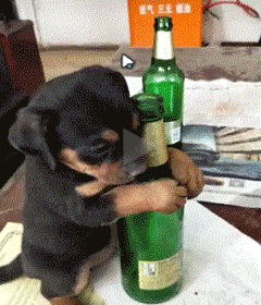 这酒是属于我的，谁抢我咬谁