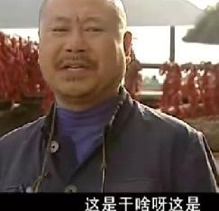 你这都是干啥呢