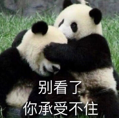 快别看了，你承受不住的