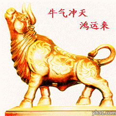 牛气冲天鸿运来