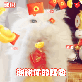 小猫咪谢谢你的红包