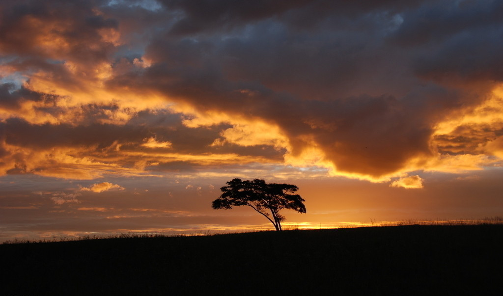 夕阳下的云中美景