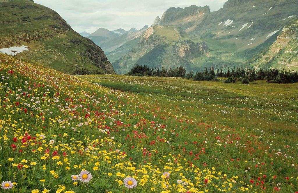 山花盛开的季节