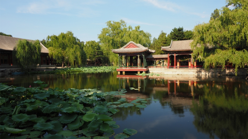 公园里美丽的湖边景色