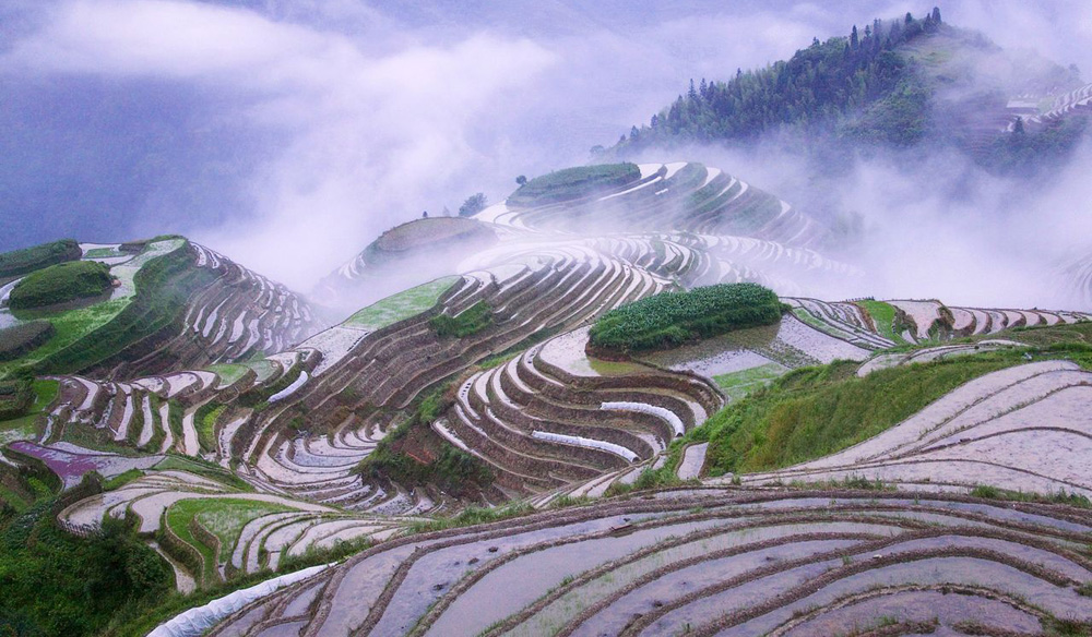 难得一见的梯田风景