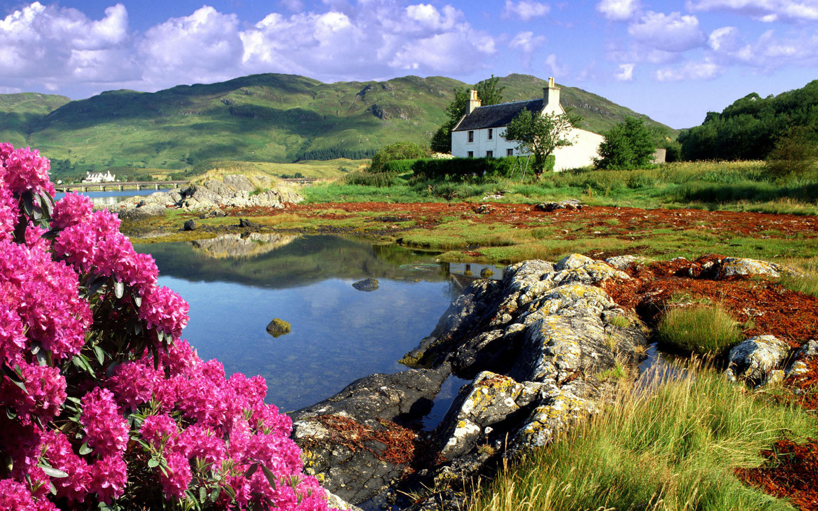 有花有草的美丽风景