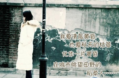 我喜爱清晨的黄昏