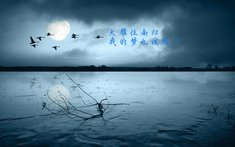 大雁往南归，我的梦也该醒了
