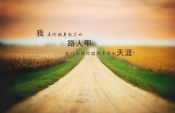 我是你转身便忘的路人甲，为何要陪你蹉跎到天涯