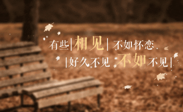 有些相见不如怀念，好久不见不如不见
