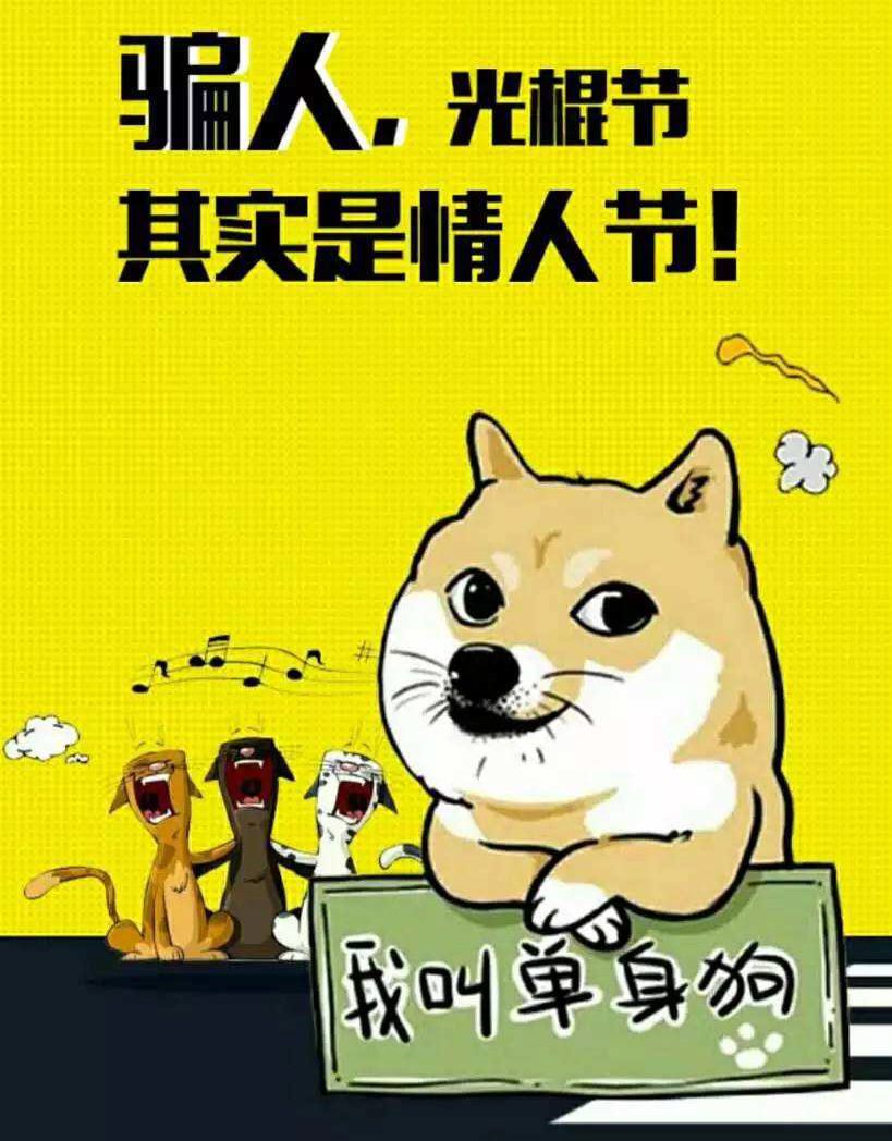 骗人，光棍节其实是情人节