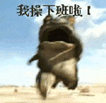 我操，下班啦