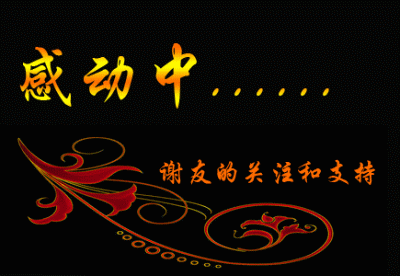 非常感动，谢谢朋友的关注和支持